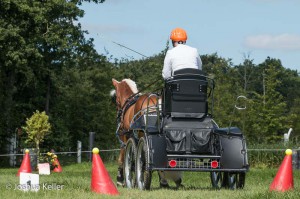 dressuur en vaardigheid  nienoord 10-8-2015  joshua keller-0243     